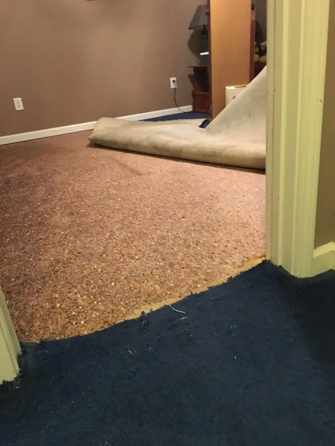 Carpet pad removal revealing water damage during Drying & Dehumidification in Beach Park