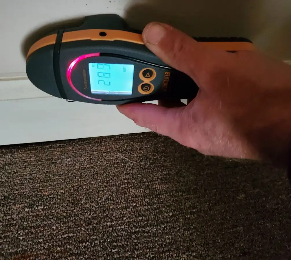 Moisture detection at baseboard during Mold Inspection & Testing in Beach Park